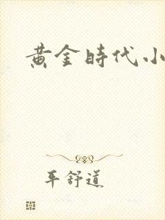 黄金时代小说