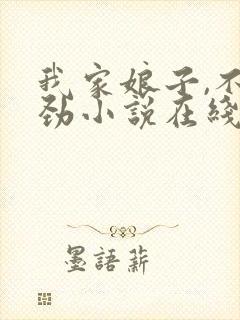 我家娘子,不对劲小说在线阅读封面