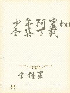 少年阿宾txt全集下载