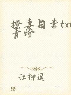 撩妻日常txt青灯封面