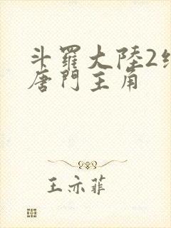 斗罗大陆2绝世唐门主角