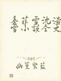 秦菲雪沈浩秦菲雪小说全文免费阅读求书