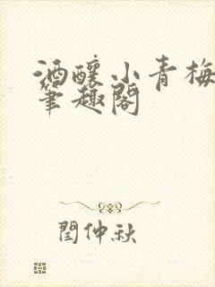 酒酿小青梅po笔趣阁封面