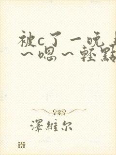 被c了一晚上啊～嗯～轻点h小说