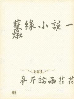 孽缘小说一家乱炖封面