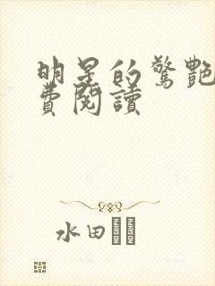 明星的惊艳史免费阅读封面