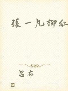张一凡柳红封面