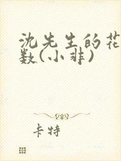 沈先生的花式调数(小非)