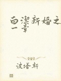白洁新婚之夜第一章