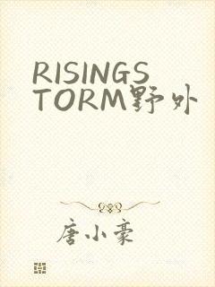 RISINGSTORM野外