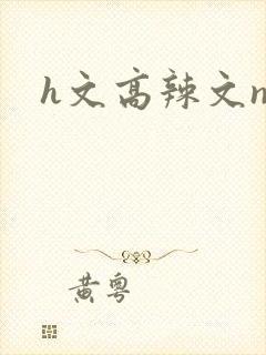 h文高辣文np