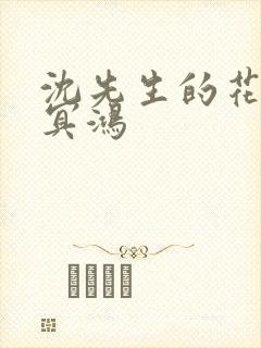 沈先生的花式调冥鸿