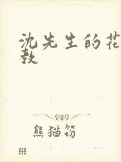 沈先生的花式调教封面