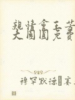 亲情会王芳高敏大团圆免费阅读封面