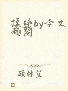 揉碎by今又笔趣阁封面