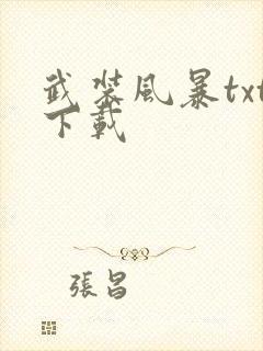 武装风暴txt下载
