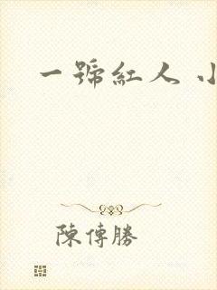 一号红人 小说