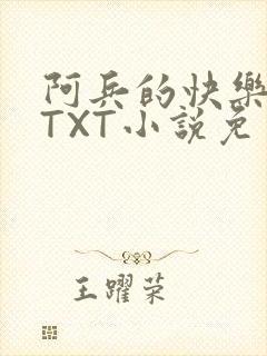 阿兵的快乐生活TXT小说免费阅读全章