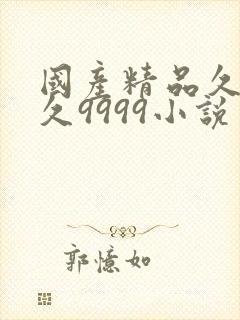 国产精品久久久久9999小说