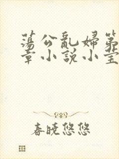 荡公乱妇第51章小说小莹
