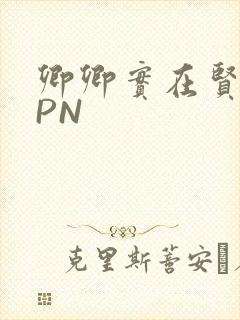 卿卿实在贤良NPN