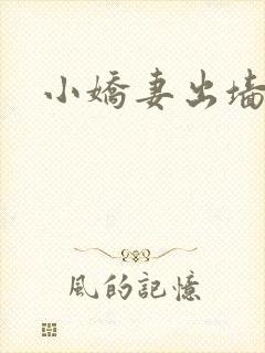 小娇妻出墙记
