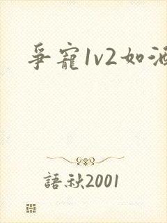 争宠1v2如酒封面