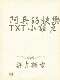 阿兵的快乐生活TXT小说免费阅读全章封面