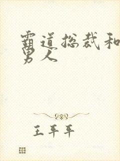 霸道总裁和他的男人