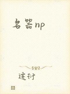 名器np