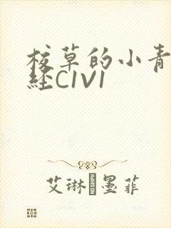 校草的小青梅不经C1V1封面