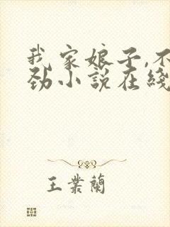 我家娘子,不对劲小说在线阅读