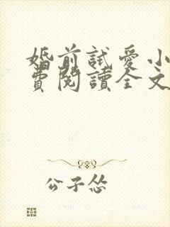 婚前试爱小说免费阅读全文笔趣阁封面