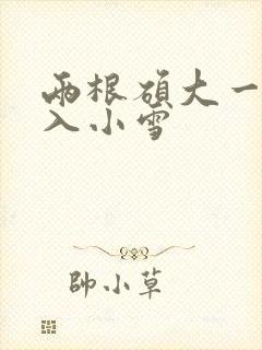 两根硕大一起挤入小雪