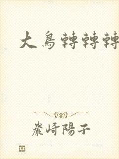 大鸟转转转封面