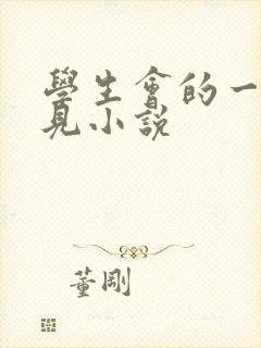 学生会的一己之见小说封面