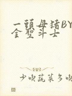 一头母猪BY黄金圣斗士