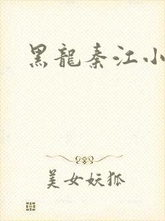 黑龙秦江小说