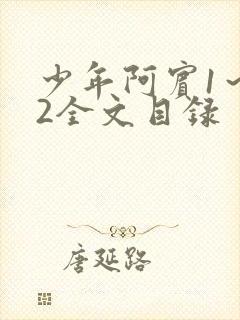 少年阿宾1～72全文目录