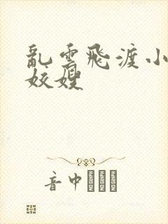 乱云飞渡小说之姣嫂