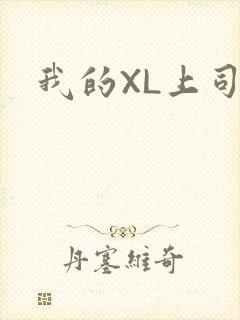我的XL上司