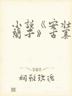 小说《安壮壮,兰子》古寨小说下载封面