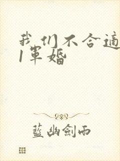 我们不合适1v1军婚