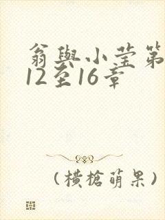 翁与小莹第十部12至16章封面