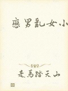 恋男乱女小说封面
