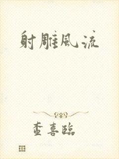 射雕风流