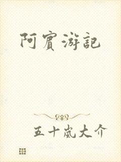 阿宾游记封面