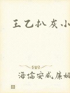 王乙扒灰小说封面