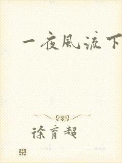 一夜风流下载
