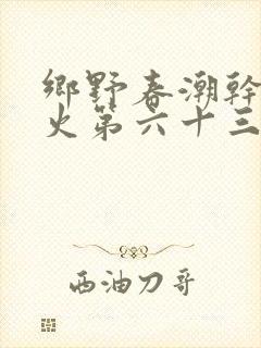 乡野春潮干柴烈火第六十三章